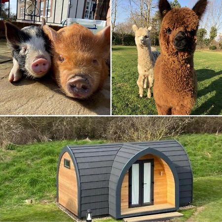 The Piggery Pod Hotel Ситингбърн Екстериор снимка